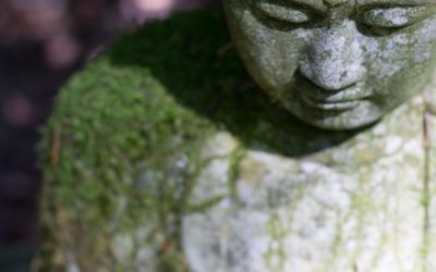 True Buddhism is not “Buddhism”